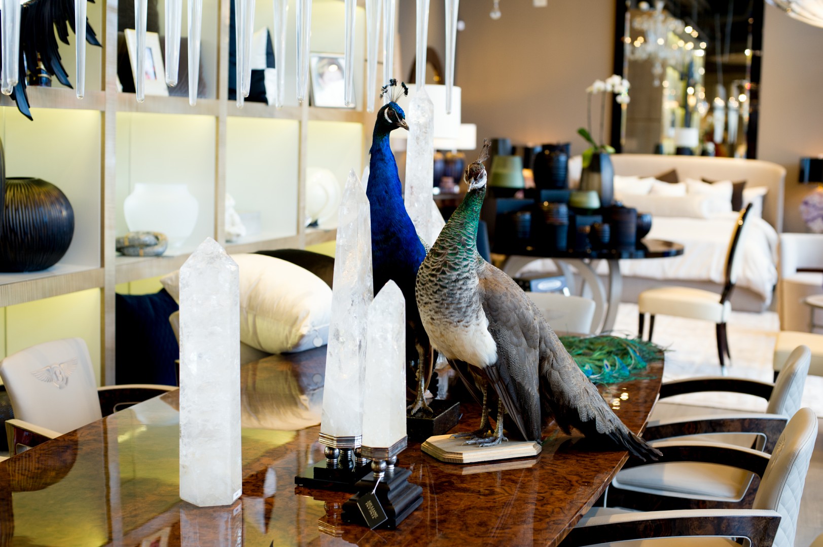 Inside the showroom